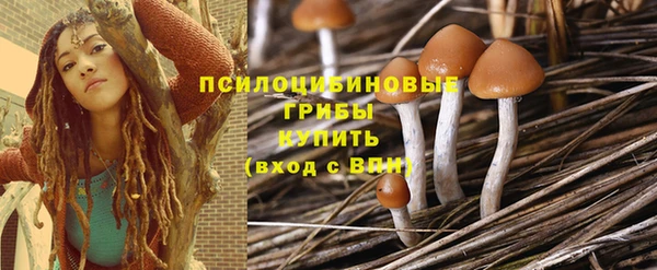 прущие крисы Костерёво