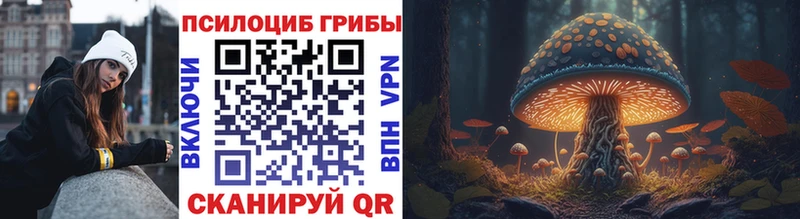 Псилоцибиновые грибы Psilocybe  купить наркотики сайты  Южно-Сухокумск 